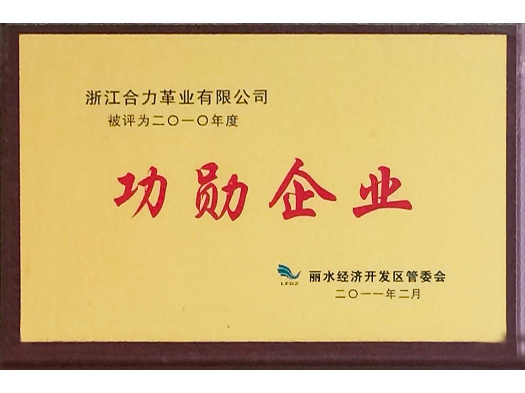 2010年度麗水經(jīng)濟開發(fā)區(qū)功勛企業(yè)