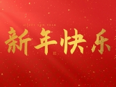 浙江合力革業(yè)有限公司祝大家2025新年快樂(lè)！